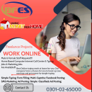 The best online jobs homebased work opportunity